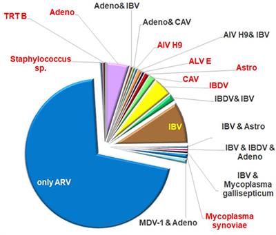 Identification of the main genetic clusters of avian reoviruses from a global strain collection